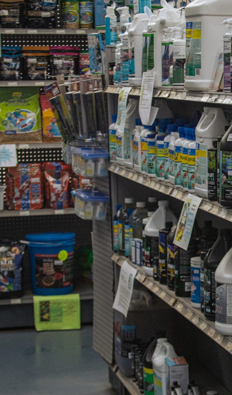 online-store-holly-days-nursery-pond-aquatics