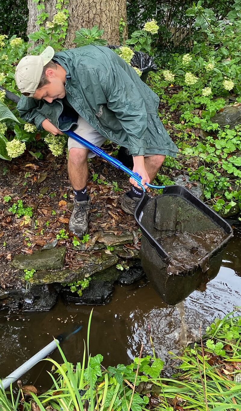 service-maintenance-holly-days-nursery-pond-aquatics service-maintenance-holly-days-nursery-pond-aquatics