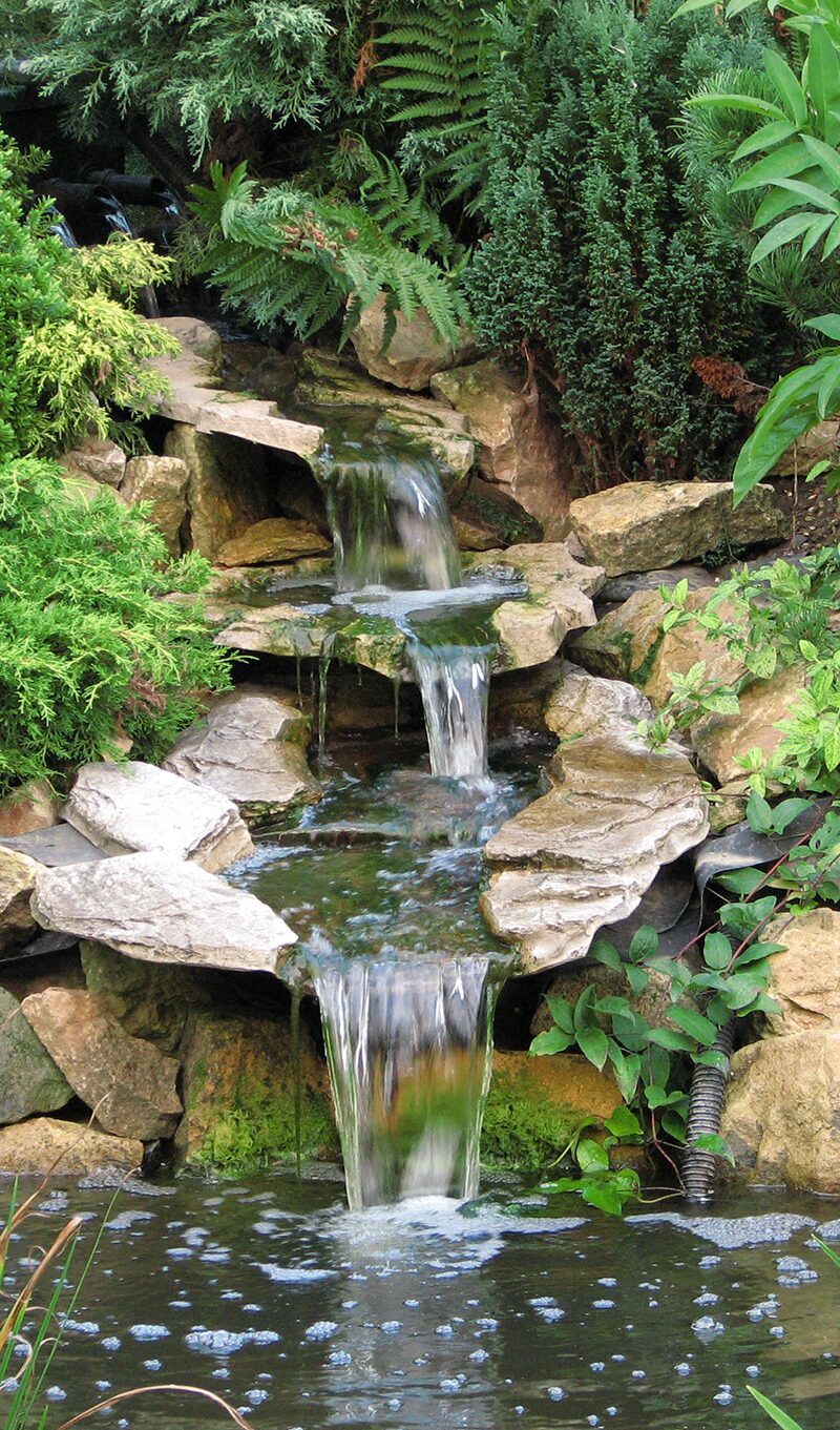 waterfalls-hollly-days-hdn-pond-aquatic