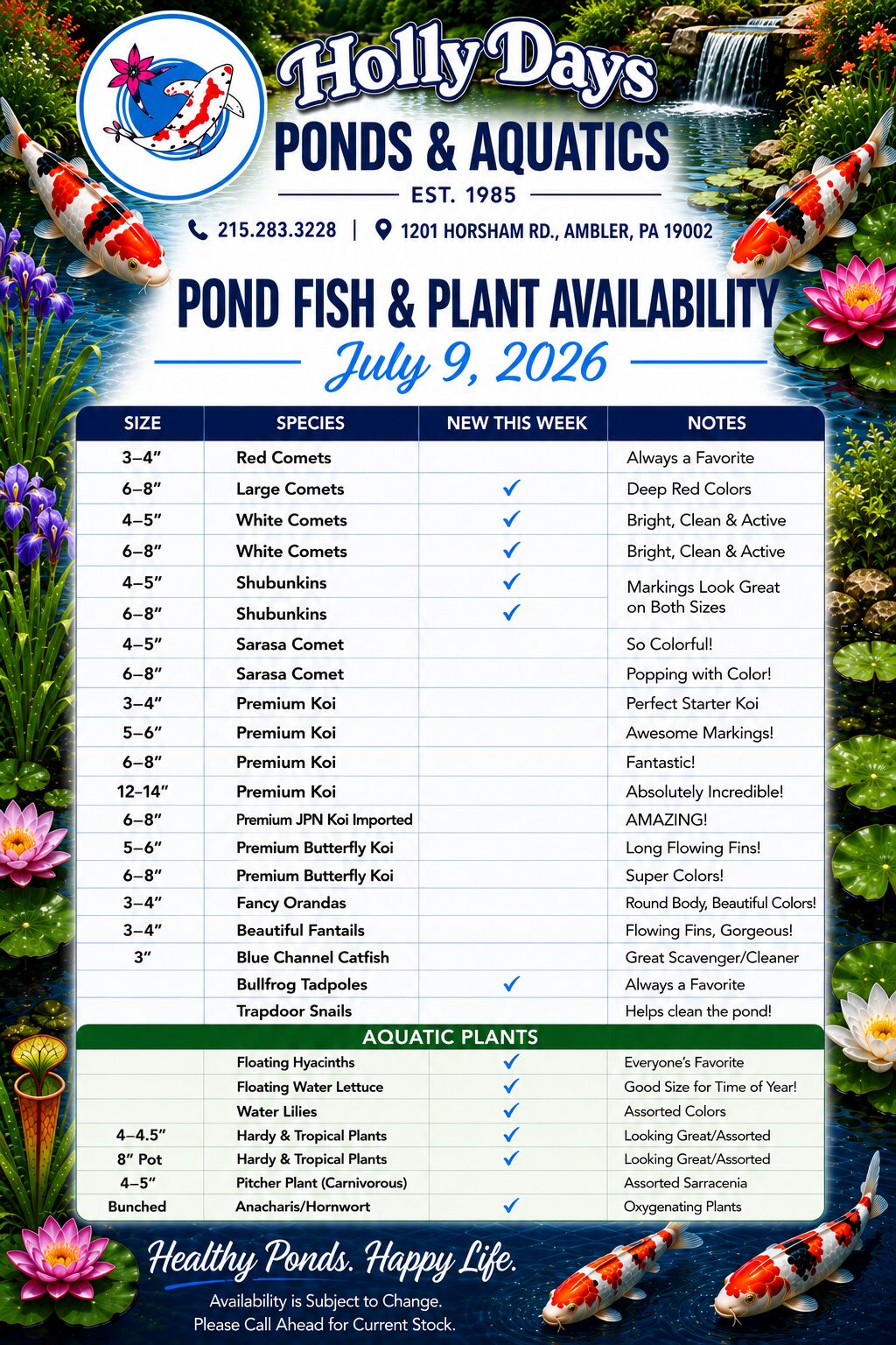 holly-days-pond-aquatics-july-2026