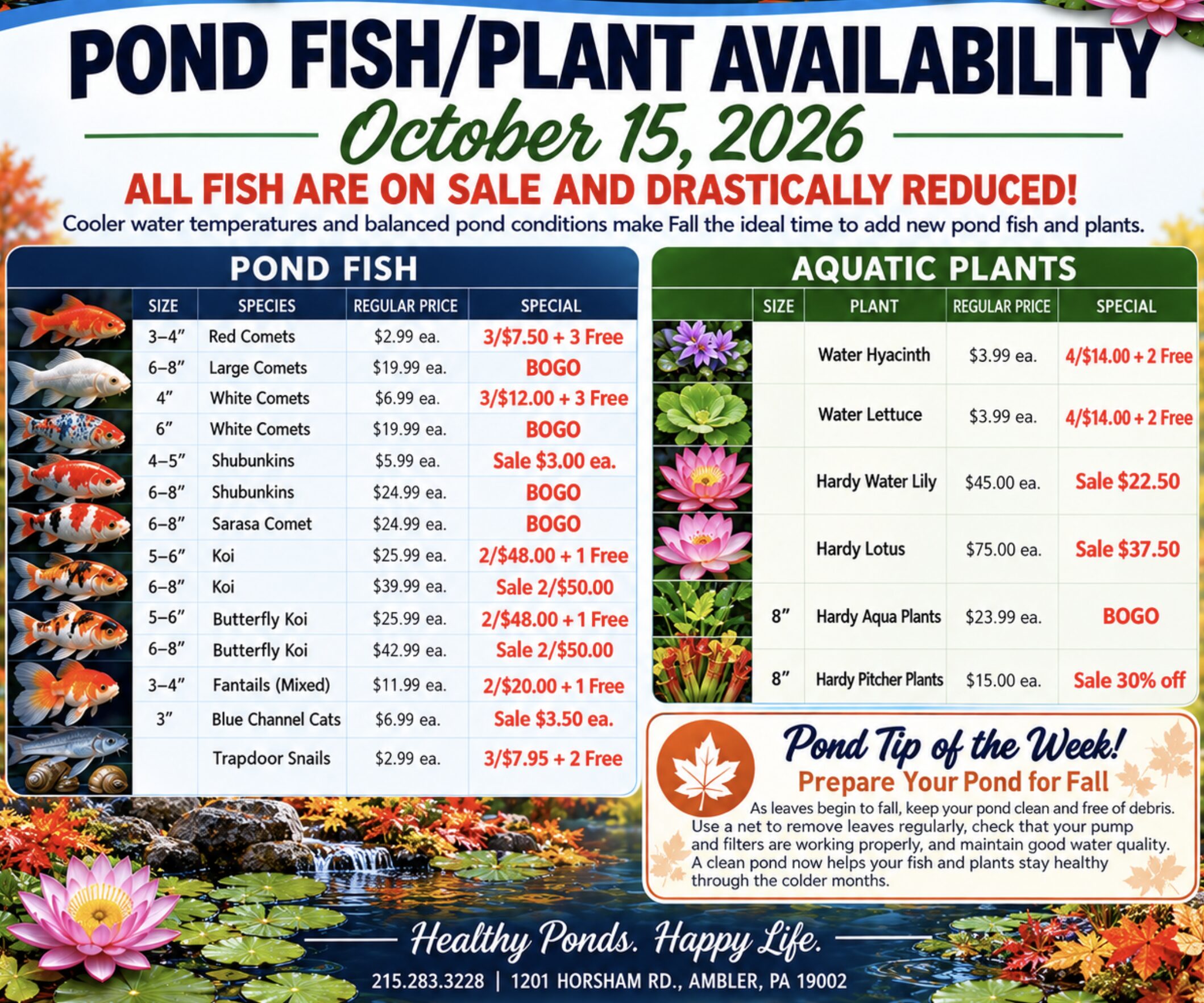 holly-days-pond-aquatics-july-2026